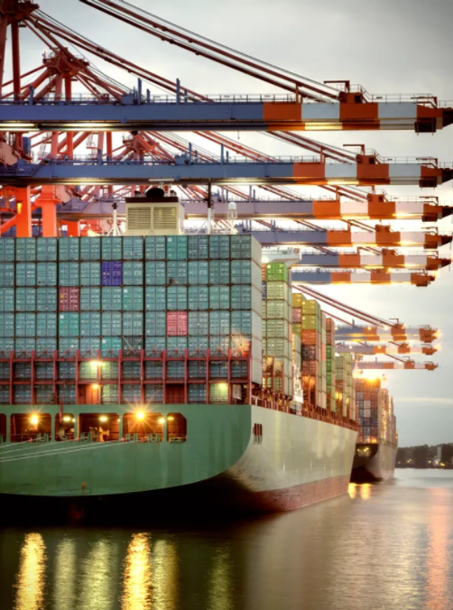 limanlarda_mesh_network